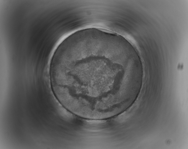 X0000102521200200808221834