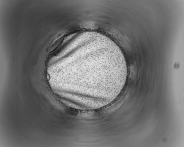 X0000102521201200808221833