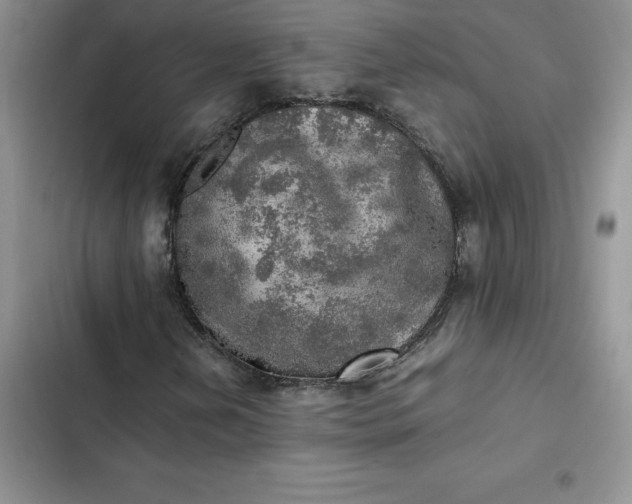 X0000102521202200808221833