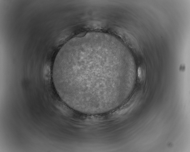 X0000102521203200808221833