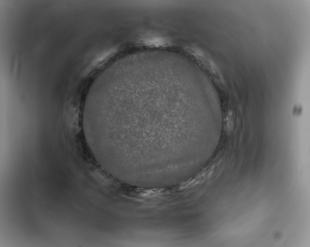 X0000102521205200808221833