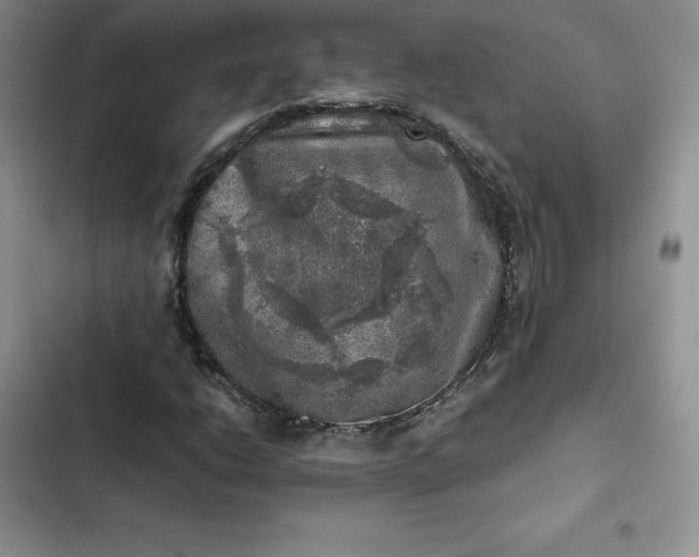 X0000102521206200808221833