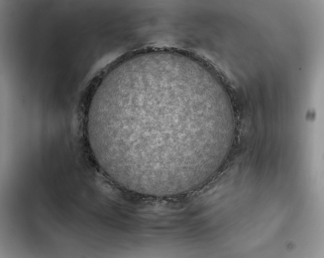 X0000102521207200808221833