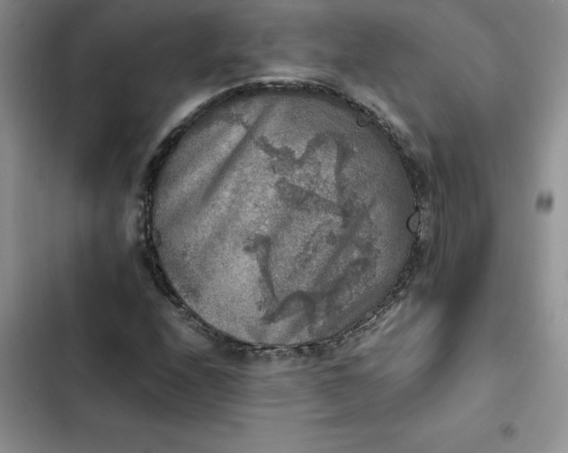 X0000102521208200808221833