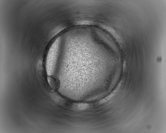 X0000102521209200808221833