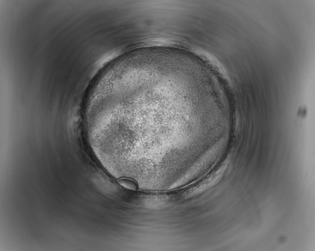 X0000102521210200808221833