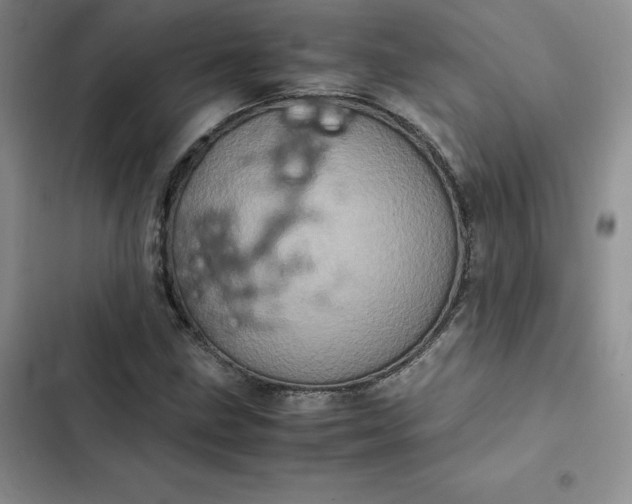 X0000102521211200808221833