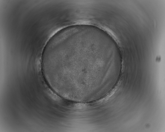 X0000102521212200808221833