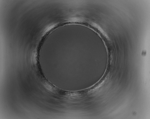 X0000102521213200808221833