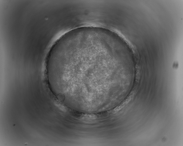 X0000102521215200808221833