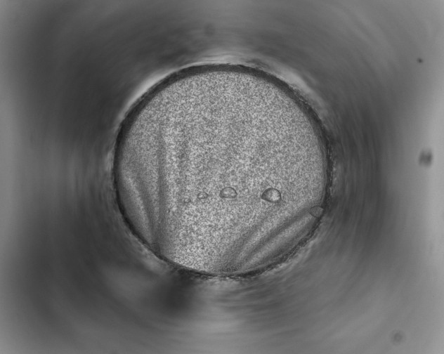 X0000102521216200808221833