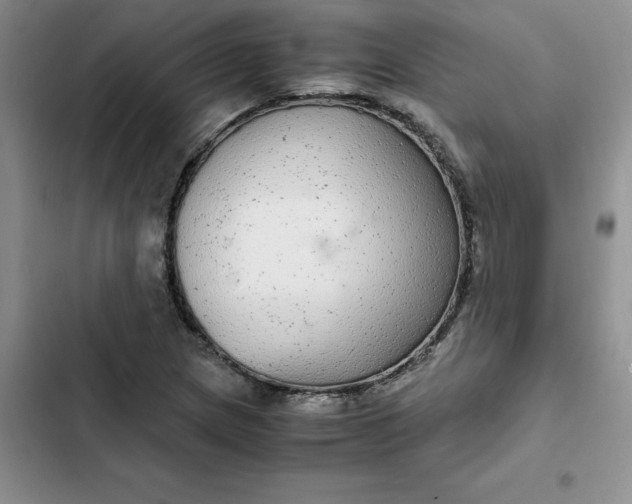 X0000102521217200808221833