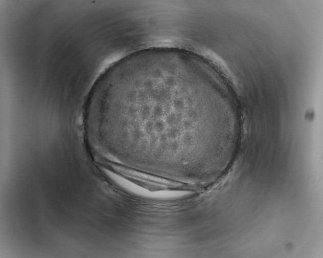 X0000102521218200808221833