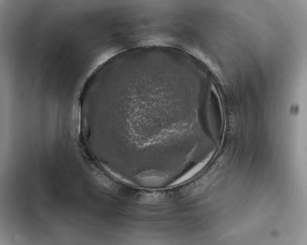 X0000102521219200808221833