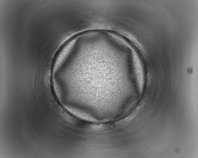 X0000102521220200808221833