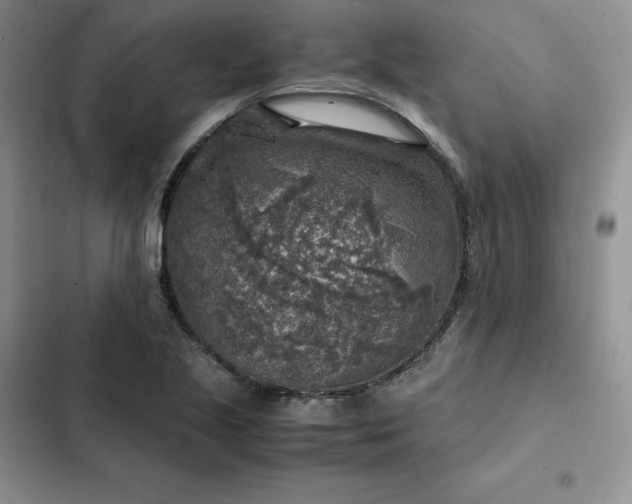 X0000102521221200808221833