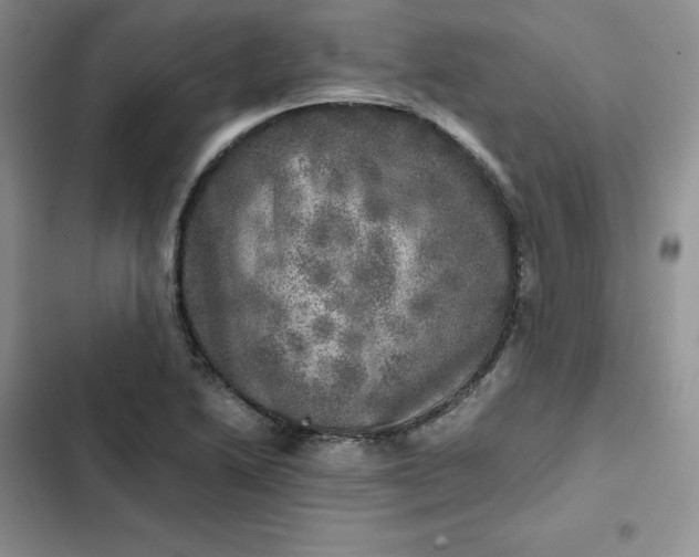 X0000102521222200808221833