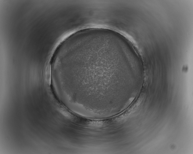 X0000102521223200808221833