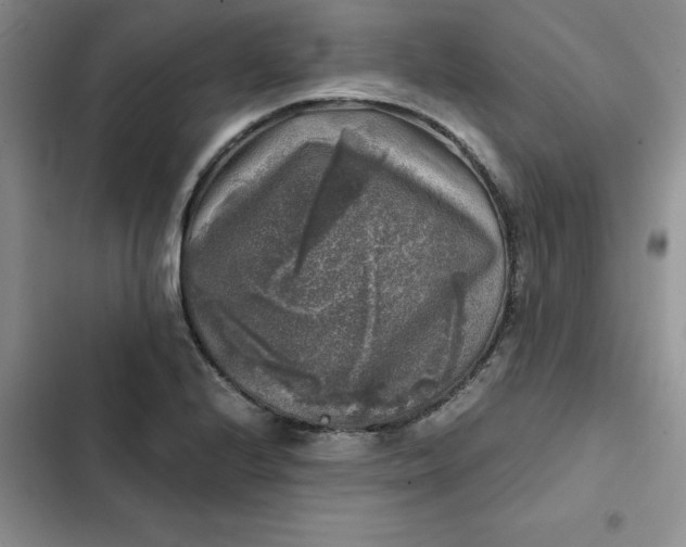 X0000102521224200808221834