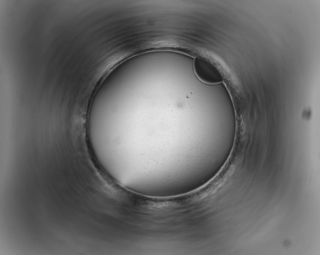 X0000102521225200808221834