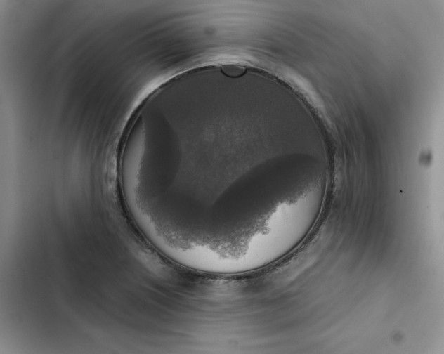 X0000102521226200808221834