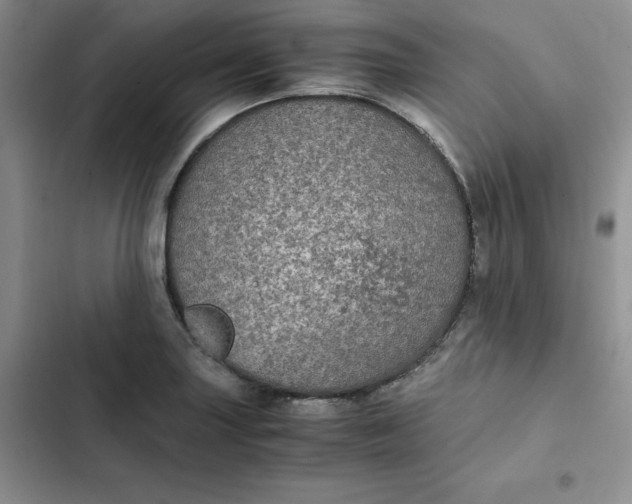 X0000102521227200808221834