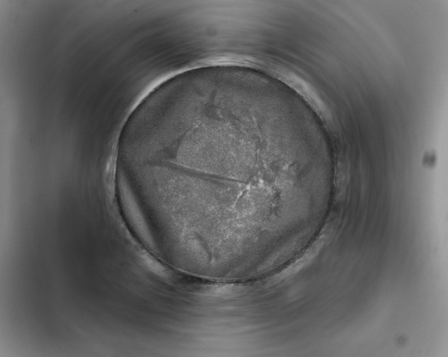 X0000102521228200808221834