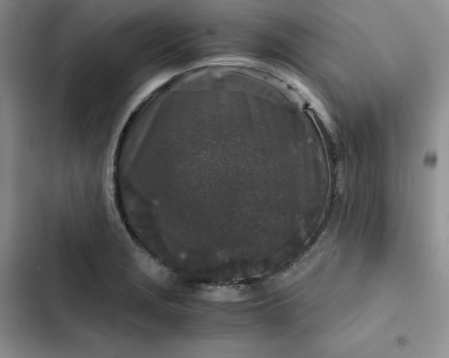 X0000102521229200808221834