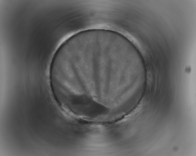 X0000102521230200808221834