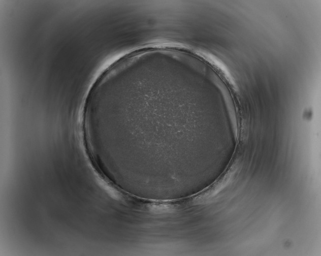 X0000102521231200808221834