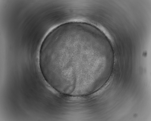 X0000102521232200808221834