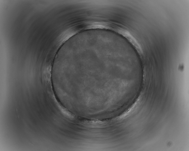 X0000102521233200808221834