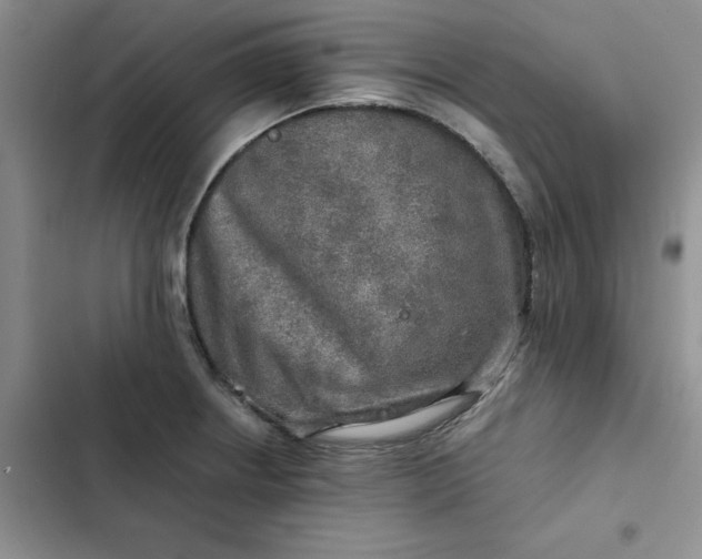 X0000102521234200808221834