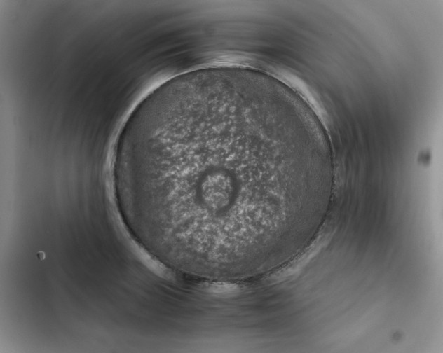 X0000102521235200808221834