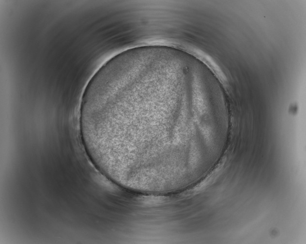 X0000102521236200808221834