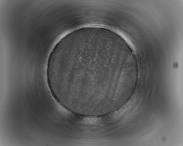 X0000102521237200808221834