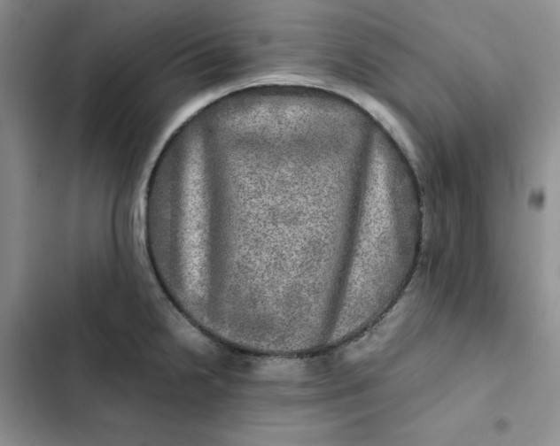 X0000102521238200808221834