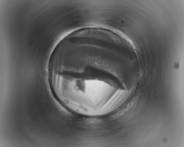 X0000102521239200808221834