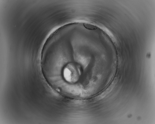 X0000102521240200808221834