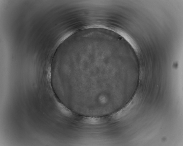 X0000102521241200808221834