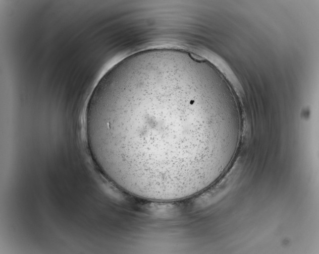 X0000102521242200808221834