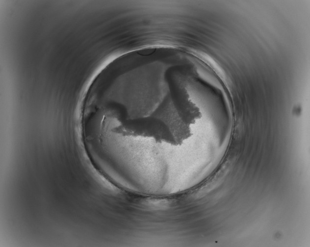 X0000102521243200808221834