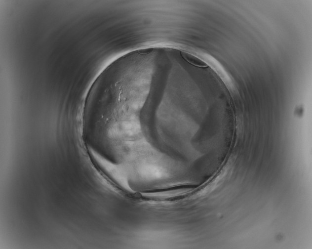 X0000102521244200808221834