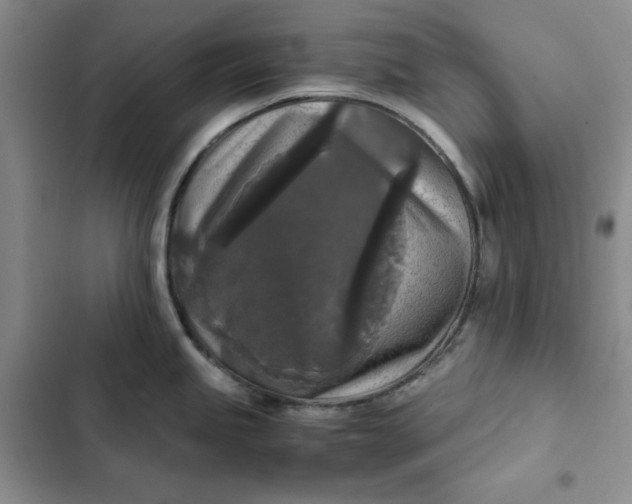 X0000102521245200808221834