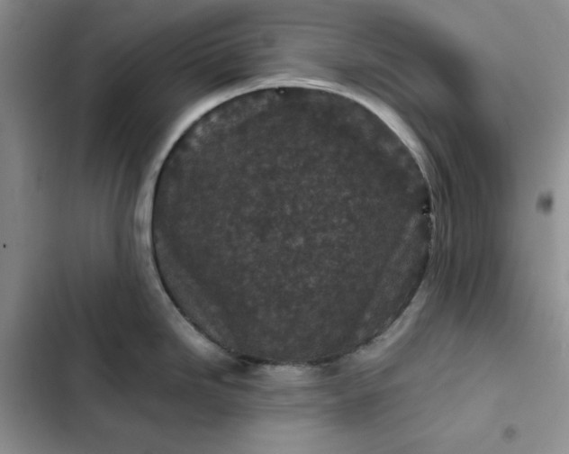 X0000102521246200808221834