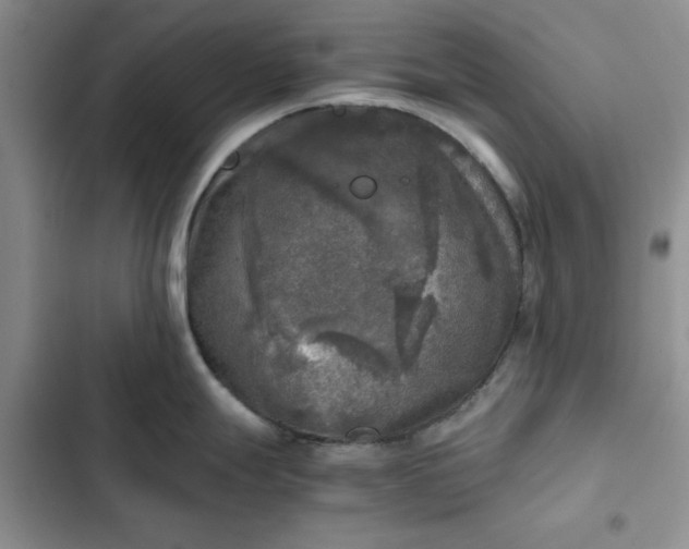 X0000102521247200808221834