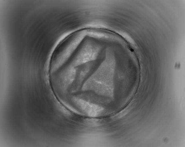 X0000102521248200808221834