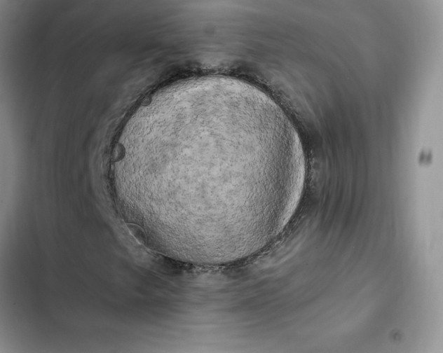 X0000102521249200808221833