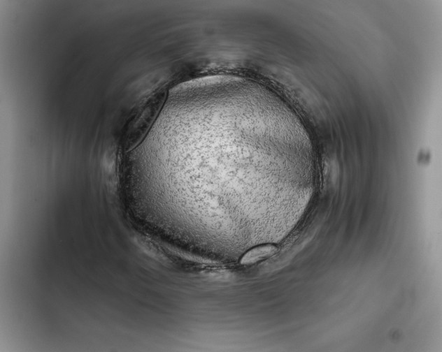 X0000102521250200808221833