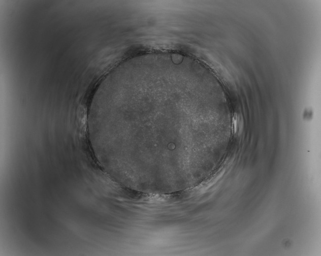 X0000102521251200808221833